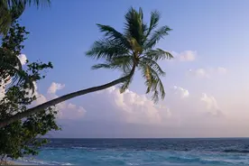 我一个老人，去海南怎么过冬。图片