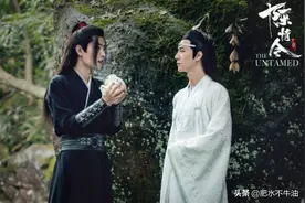 《陈情令》原造型，魏无羡高马尾，看到蓝湛：太不雅正图片