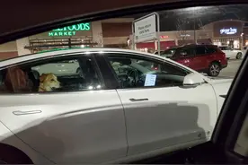 网友看到狗子被困车内，欲砸窗营救，走近看清之后果断放弃图片