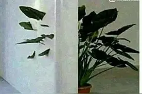 干货！和平精英如何快速提高技术图片