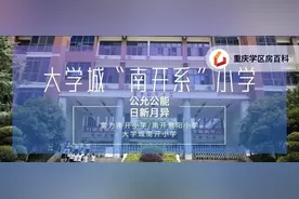 大学城“南开系”小学学区分析图片