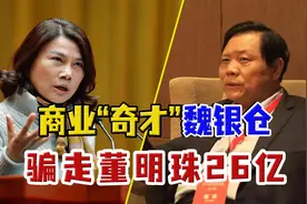 银隆创始人魏银仓：卷走董明珠26亿逃美国，王健林刘强东皆被牵连图片