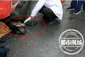 又是大货车盲区！女子卷入大货车车底，右腿被压命悬一线图片