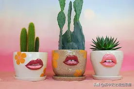创意无限的花盆图片