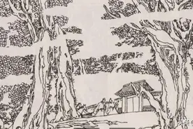 小说：女子逃难被山中村民搭救，很久之后发现村子的秘密图片