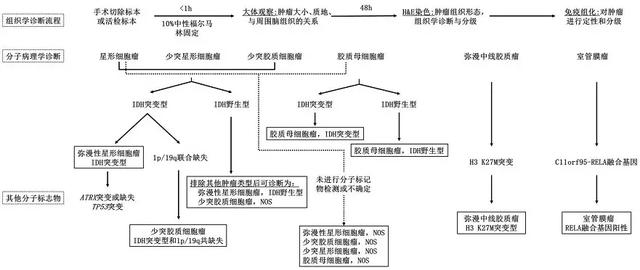 鍥藉鍗仴濮斿叏鏂囧彂甯冿細鑴戣兌璐ㄧ槫璇婄枟瑙勮寖(2018骞寸増锛? onerror=