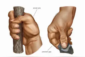 手劲脚劲与健康图片