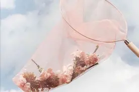 一句歌词概括十二星座，失去挚爱之人时的心情，看完泪奔图片