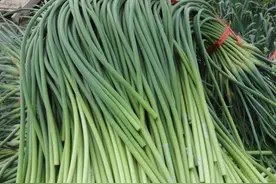 都是蒜苔却有白帽和红帽之分，其价格相差悬殊太大，该如何选择呢图片