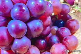 洗葡萄时，有人用盐，有人用面！老果农：都不对，教您最正确做法图片