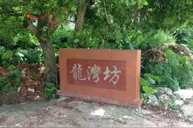 广东九旬老太苦寻台湾弟弟张明启：我以为你牺牲了，几十年后才收到你的信图片