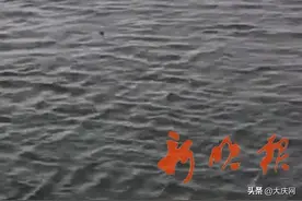 哈市木兰县两男孩落水，10多年没游泳的他，纵身扎进江里…图片
