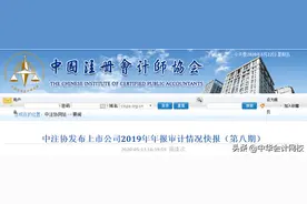 会计事务所排名前20名单出炉！是谁拔得头筹？第一名让人直呼意外图片