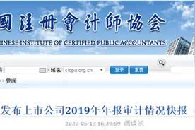 会计事务所排名前20名单出炉！是谁拔得头筹？第一名让人直呼意外图片