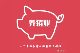养猪业一周年、国庆双节感恩小活动图片