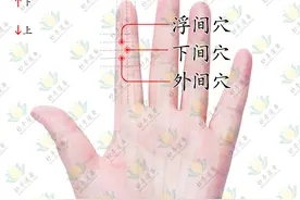 清理下焦通络止痛-浮间穴、外间穴、下间穴图片