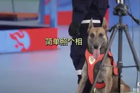 最近的快乐都是二驴给的图片