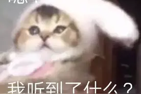看完武当山机场4月票价，坐不住了图片