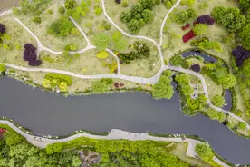 青岛西海岸新区丁家河公园花开艳丽，绿色婆娑，景美如画图片