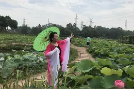 “成都嬢嬢”贺蓉：在成都的文化活动“事业”中体验生活的美好图片