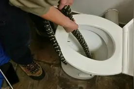 澳妇女：蹲个马桶都被蛇咬到下面，澳洲致命动物泛滥，无孔不入图片