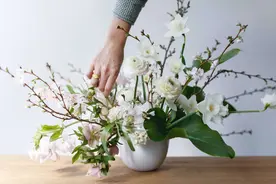 买回来的切花总是容易蔫？看看从花店学到的6个鲜切花养护技巧图片