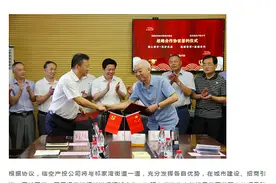 黄陂南部这两个街道，沉寂了许久以后，终于迎来了腾飞的新机遇图片
