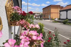 【美丽乡村】杨宋这个花园式村庄，爱了爱了！图片