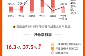中药巨头白云山股价为何跌跌不休，被白药和片仔癀甩远图片