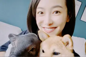 网曝某剧组杀青后将两只狗遗弃，狗每日在酒店等待，剧组被骂缺德图片