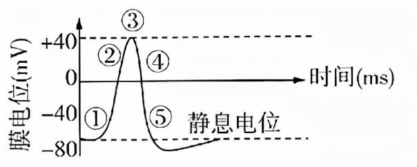 2022届高三开学摸底考试生物试卷（河北卷）