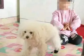 地狱空荡荡恶魔在人间：哈尔滨5岁幼女被邻居伤害，又是熟人作案图片