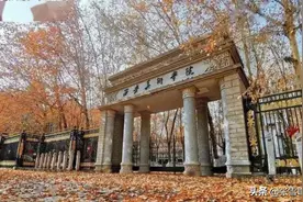 张雪峰:这些大学名气不大,但专业领域很吃香，文/理/艺术生都能选图片