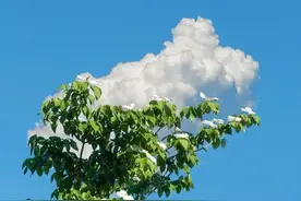 朝暮与年岁并往 然后与你一同行至天光.图片