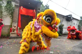 探秘济南舞狮团体：商业浪潮中，“北派舞狮”如何坚守图片