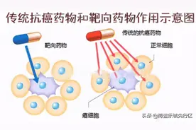 一文了解靶向药图片
