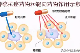 一文了解靶向药图片