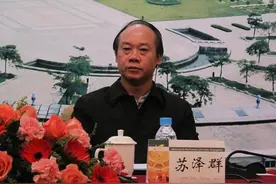 曾和万庆良一起“拜清官”的广州原副市长，被开除党籍图片