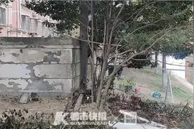 深夜11点，他为什么浑身滴着水哆哆嗦嗦回家？老婆心疼：你下河的时候，不要老婆孩子了？图片