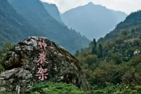 神农架发现“驴头狼”，早已灭绝50万年的生物，为何又突然出现？图片