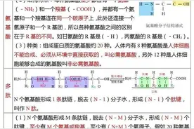 衡水中学高中生物必修一知识总结，实用，高效，全面，学霸都在用图片