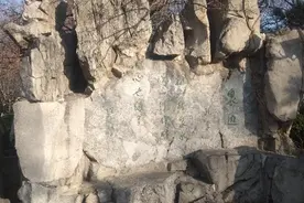 《一片孤城万仞山新解》图片