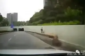 开车进隧道行车记录仪拍下惊魂一幕！网友：吓到想骂人图片