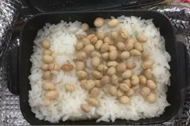 饮食热话｜日本人夫分享妻子“复仇便当”，这是得罪老婆了吗？图片