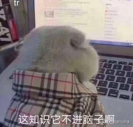 最新成都购房攻略！落户、资格、房贷问题全搞定！建议收藏！