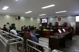 平江首例危害珍贵、濒危野生动物刑事附带民事公益诉讼案开庭图片