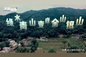 「喜迎河南党代会」九千五百万分之一｜独腿老汉当主播，竟是为了把它卖到全国图片