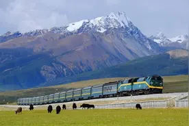 中国高铁领先世界，为什么青藏铁路的火车头，却要从美国进口？图片