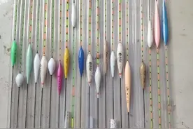 浮漂论：价低多迟钝，价高显灵敏，片面!思路决定出路，要吃透图片