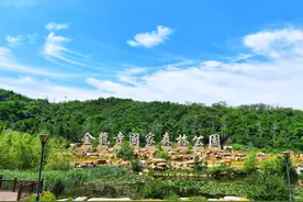 最美大连丨金龙寺国家森林公园图片